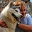 Alexey_Bogolubsky